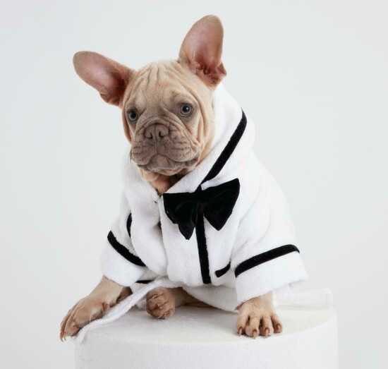 Every distinguished dog needs a robe from Pucci Cafe. Best Man Bathrobe puccicafe.com $150-$175