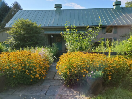 A pollinator garden at Olwen Woodier and Richard Busch's Glenfiddich Farm in Leesburg. Photo: Courtesy of Olwen Woodier