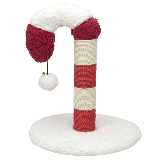 Photos courtesy of Pet Supplies Plus Memorial