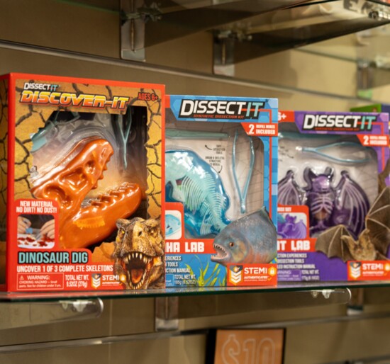 Dissect It digs and kits make learning fun for children.