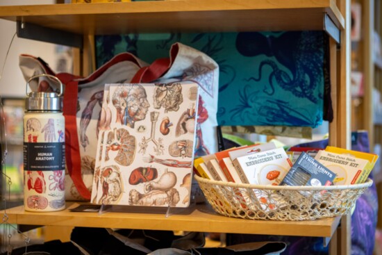 More great gift ideas from Excavations: Purses, beverage holders, journals and craft kits