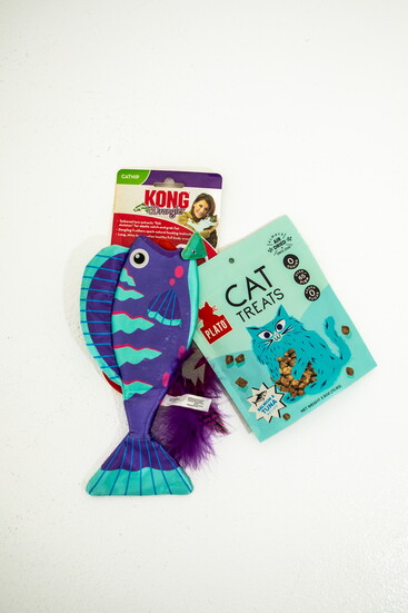 Kong Catnip Cat Toy & Plato Cat Treats