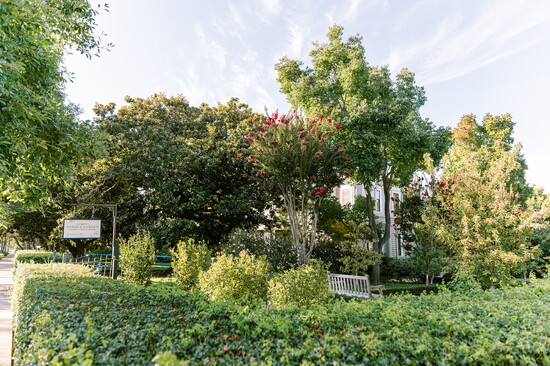 Photo 14 of 20
