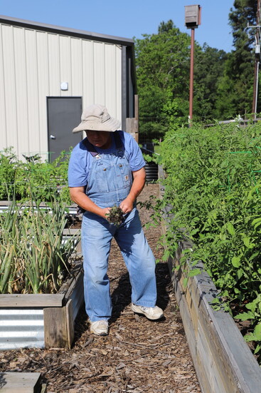 Ken Grau in the garden