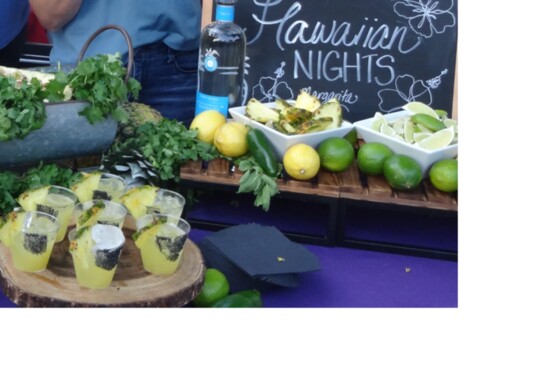 22nd Annual Margarita MixOff & More!