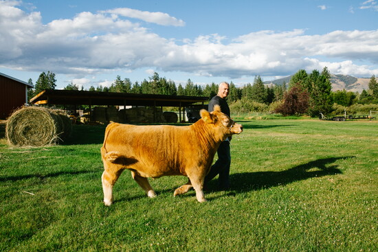 Bess Bird Photography