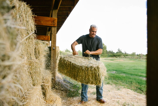 Bess Bird Photography