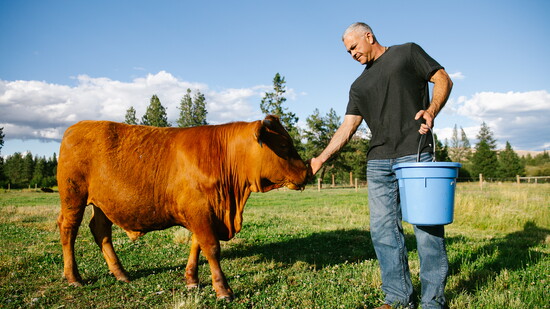 Bess Bird Photography