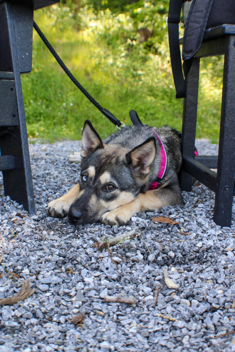 Glamping On Crabtree Mountain