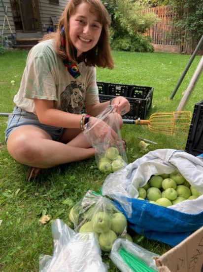 Volunteer Izzy bags apples.