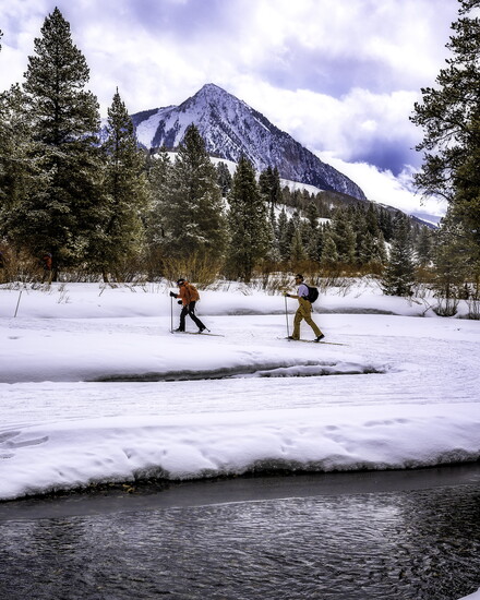 photo credit: Connor Scalbom