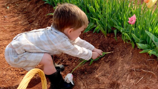 Hubert Family Farms