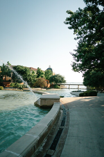 The Harbor