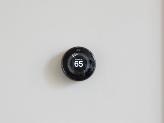 Nest thermometer