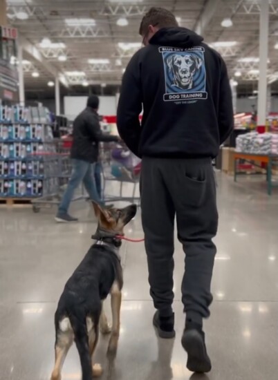 Lots of training happens in public, dog-friendly places like Home Depot. 