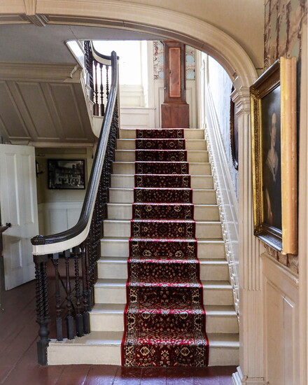 Photo courtesy of Sabina Ion