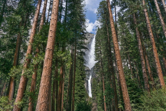 Credit: Visit Yosemite Madera County