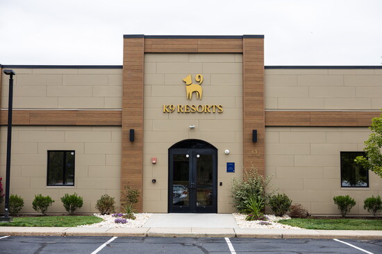 K9 Resorts Hillsborough