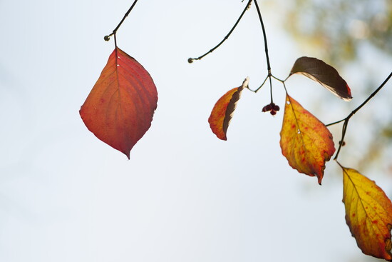 From the "Seasons Change" collection. Photo Credit: Stacey Evans Photography