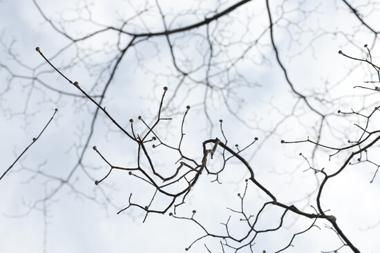 From the "Seasons Change" collection. Photo Credit: Stacey Evans Photography