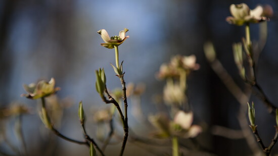From the "Seasons Change" collection. Photo Credit: Stacey Evans Photography