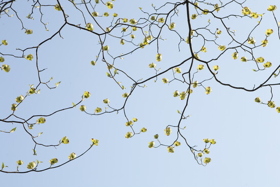 From the "Seasons Change" collection. Photo Credit: Stacey Evans Photography