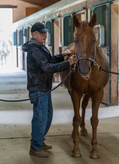 Horses are sensitive to human emotions and can provide immediate feedback, which can help build trust and a strong bond.