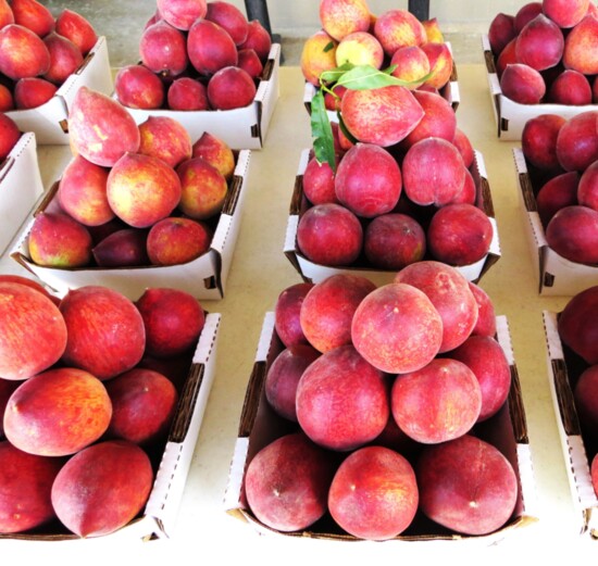 Roadside stands are morning hot spots for buying Fredericksburg peaches.