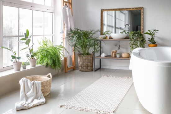 Put plants that like humid environments in the bathroom.