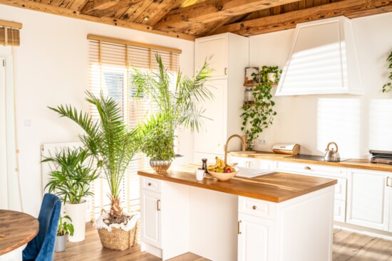 An 1,800 square-foot home could have 15-18 plants.