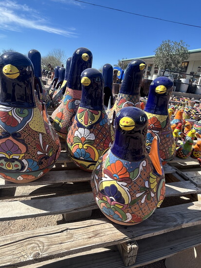 Any fun-loving birds!