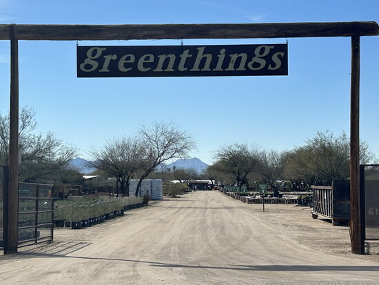 Enter the Mecca for plant people!