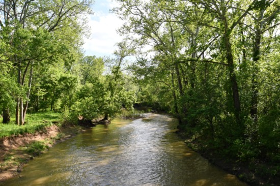 Taylorstown Creek