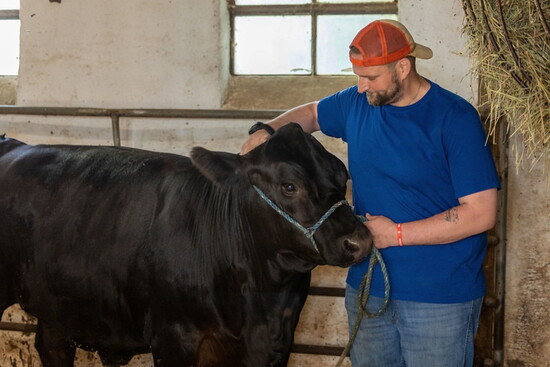 Resident working with cattle at Char Hope. Photo Credit: Kerry Paradis Photography