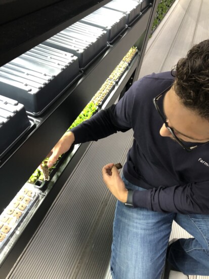 Chris Rivera checks on some of Farm-A-Leaf's seedlings. 