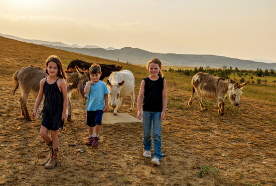 Elena, Natalia, and Leo, in the pastured with their donkeys at The Farm at Sparrow Hill. Photography by Preserving Euphoria.