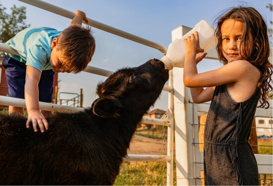 Natalia and Leo feeding baby highland cow Billie Jean.