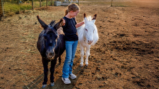 Elena with favorite donkeys, Pearl and Paisley. Photography by Preserving Euphoria.