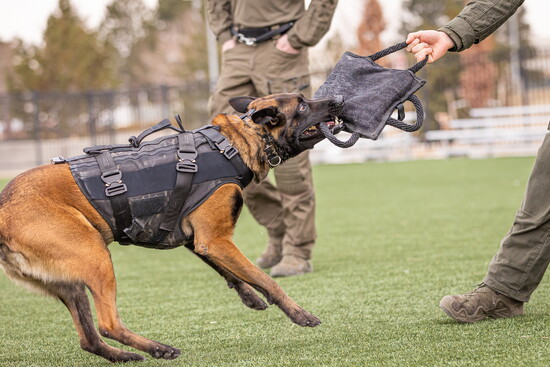 Preston Designs, LLC