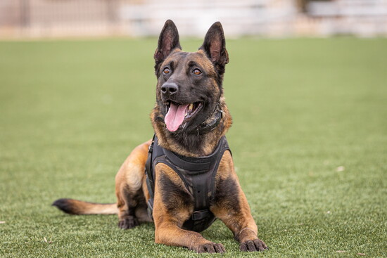 Preston Designs, LLC