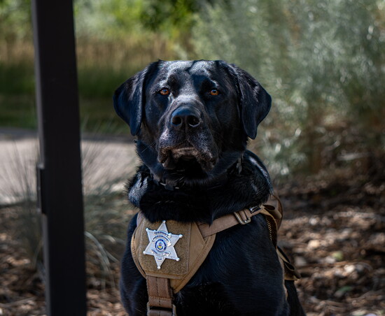 Zachery Ervin Photography