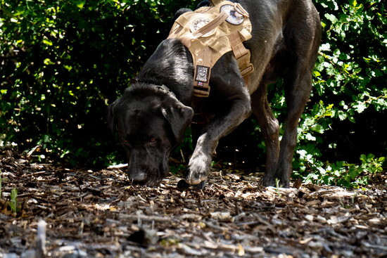 Zachery Ervin Photography