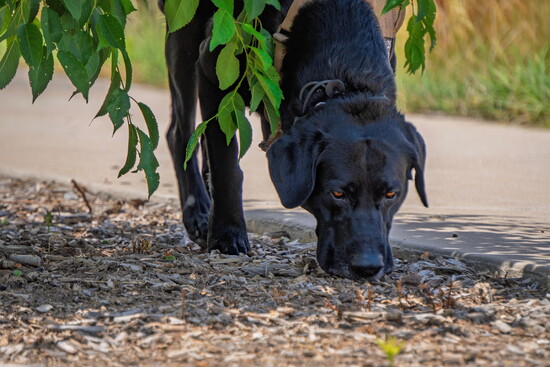 Zachery Ervin Photography