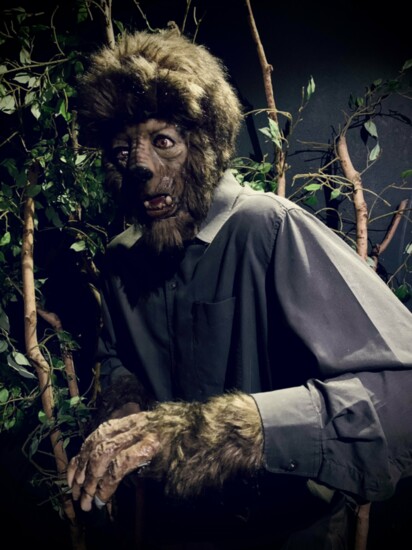 See custom pieces at Tom Devlin’s Monster Museum that pay tribute to some of Hollywood’s most famous movie and TV monsters, like the Wolf Man
