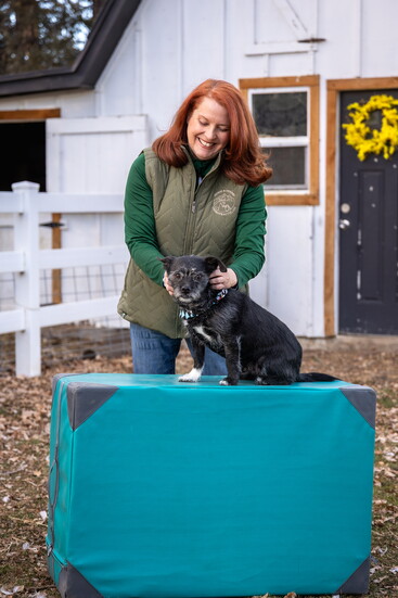 Konzek Family Dog, Jack