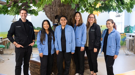 Dr. Mitchell Loeb and team