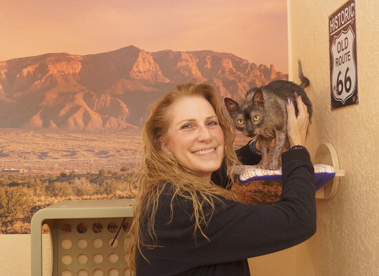 Martha Plummer, owner of Happy Cat Hotel and Spa