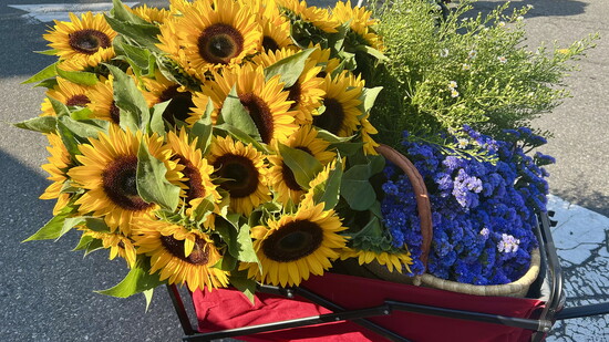 Market Flowers in Abundance