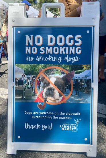 No Smoking Dogs