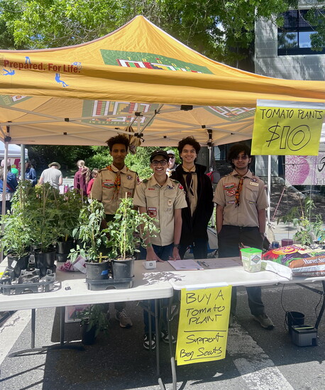 Mercer Island Scouts